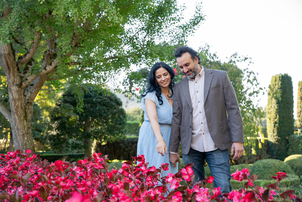 Indian couple smiling at a bed of pink flowers and the woman in her blue dress is reaching out to touch the flowers while her fiancé stands next to her smiling