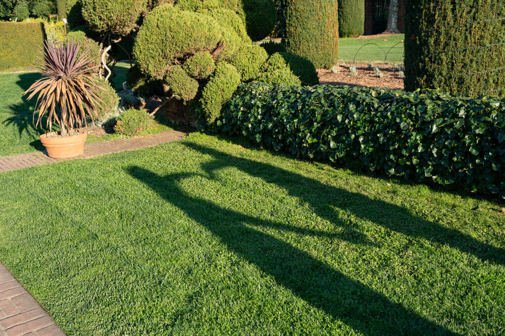 Shadow of a couple making a giant heart shape with their arms in the grass