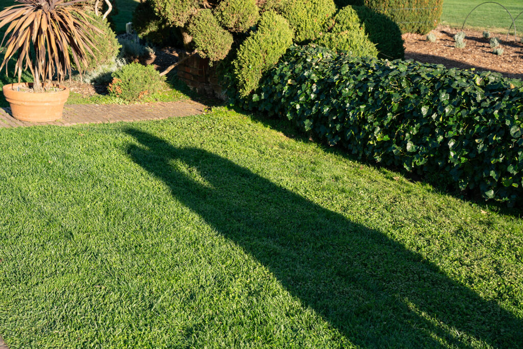 Shadow of a couple kissing each other with their shadows showing the action