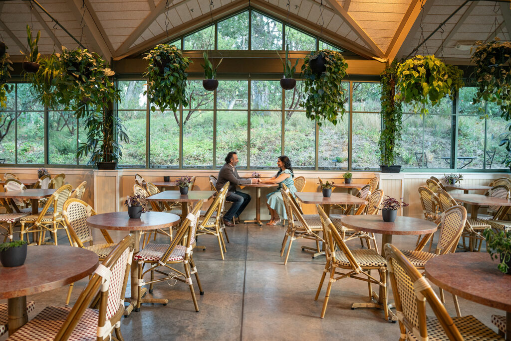 far away shot of an Indian couple sitting on oppositen sides of a coffee table at a cafe holding hands across the table smiling with a bright window behind them with trees and bushes behind them